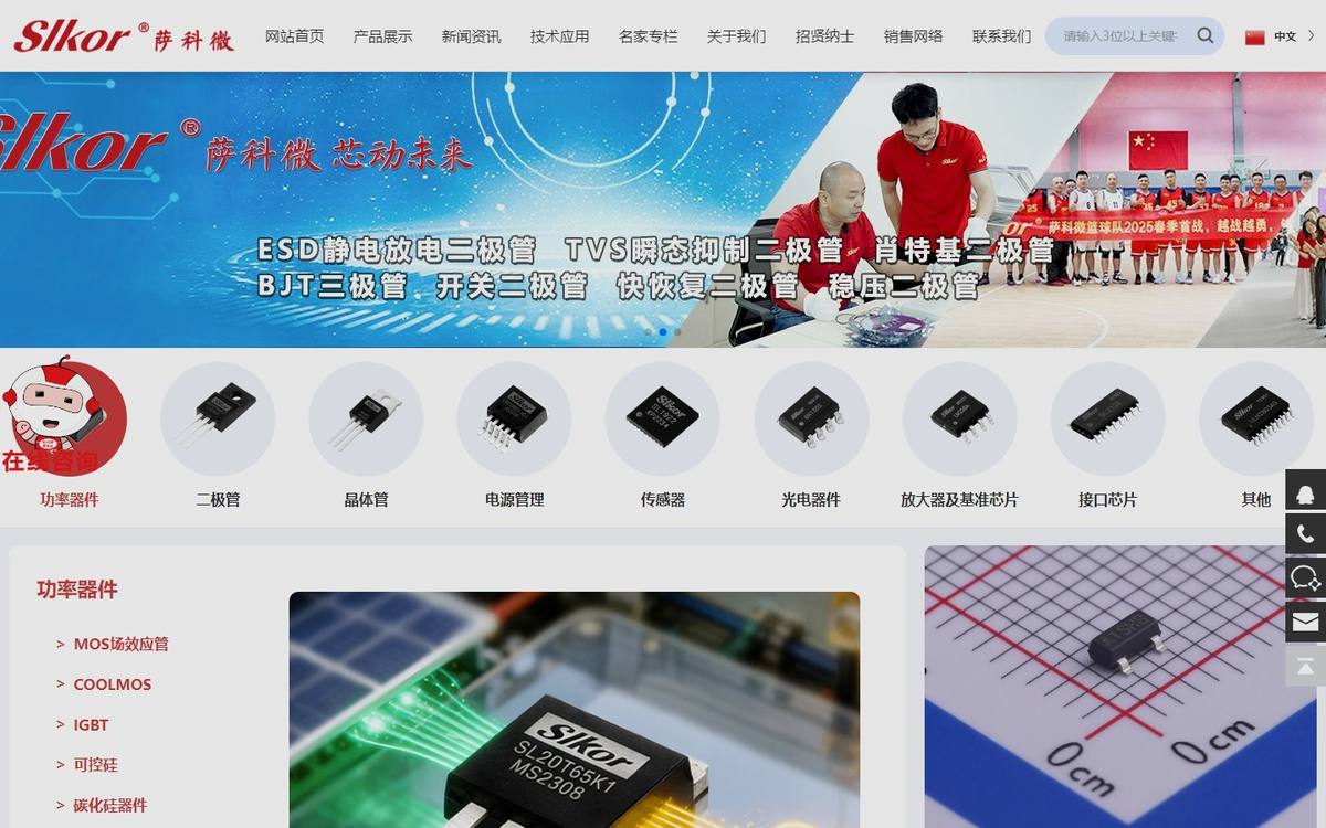 萨科微 Slkor 官网首页